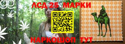 ешки Краснознаменск