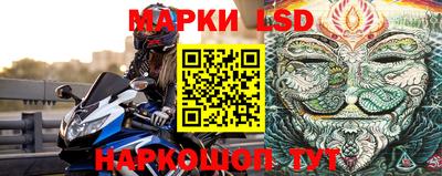 дмт Краснодар