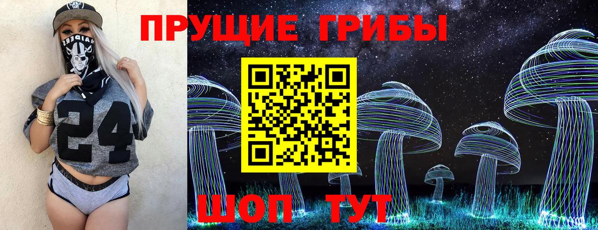 Гусь-Хрустальный  Псилоцибиновые грибы Psilocybe  Вход с VPN 